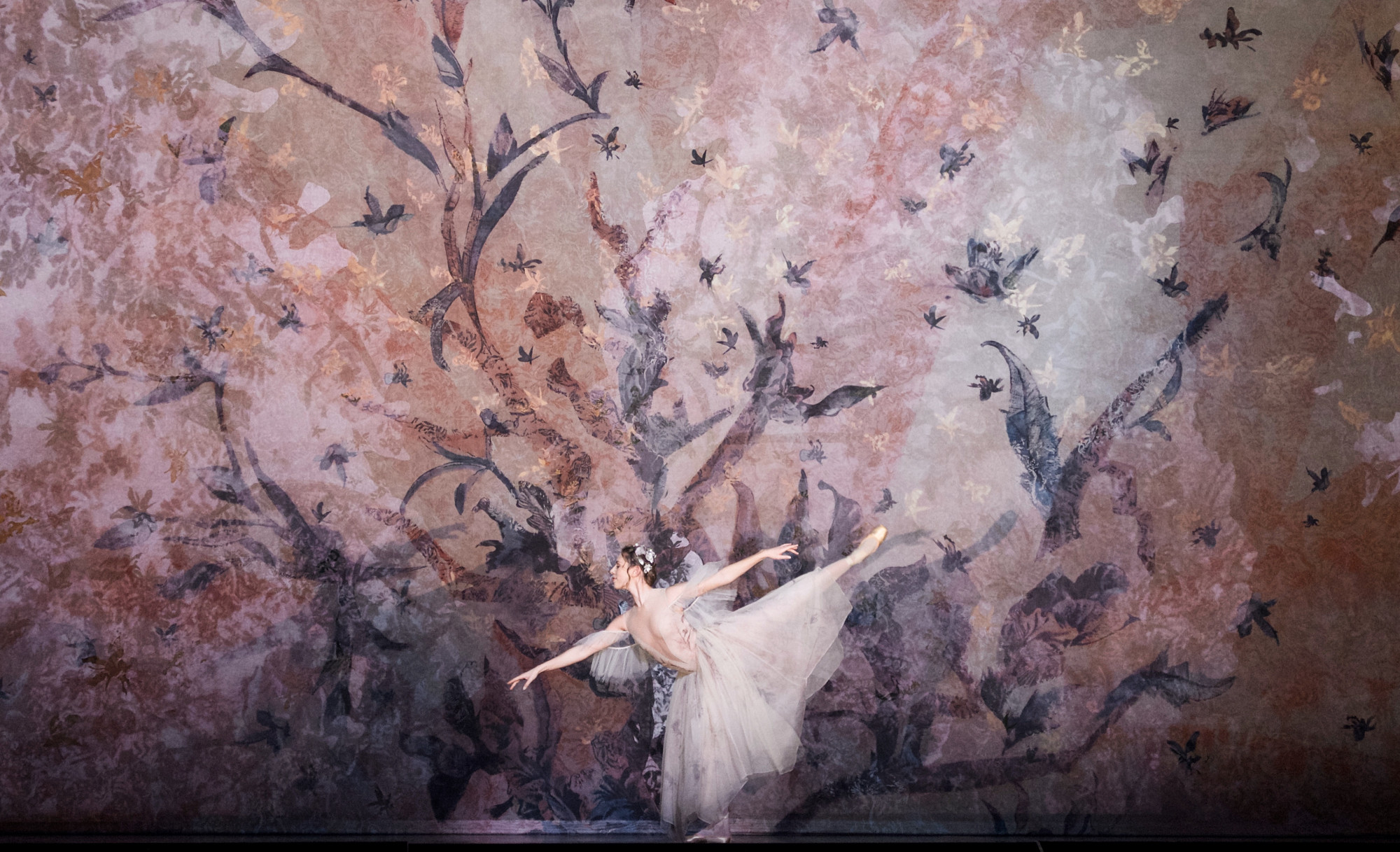`SYLFIDEN´, the Royal Danish Ballet 2020